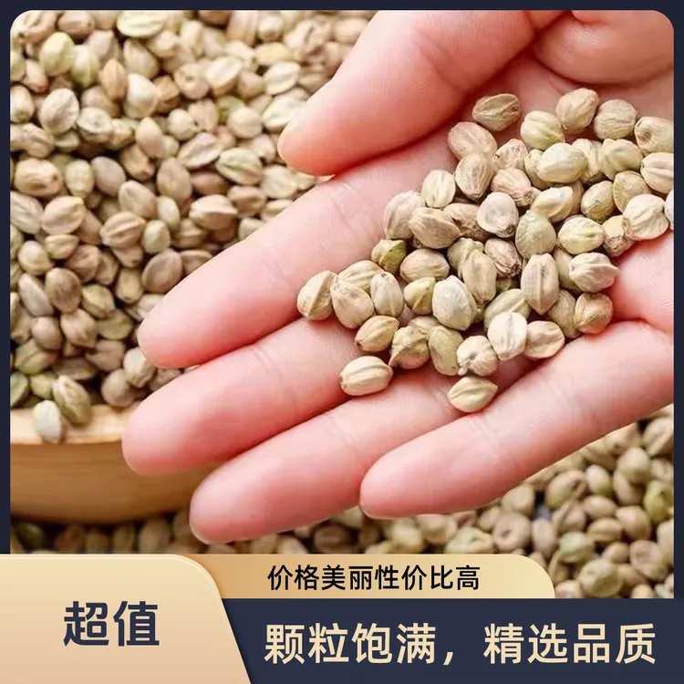 鹦鹉粮和尚互动玄凤训练纸壳麻子牡丹奖励小太阳鸟食零食麻籽鸟粮