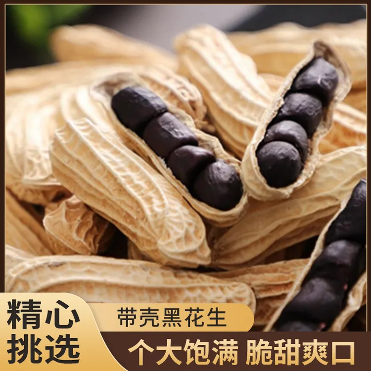 广西黑花生灯笼果500g1000g带壳黑花生干货生吃晒干花生25年新货