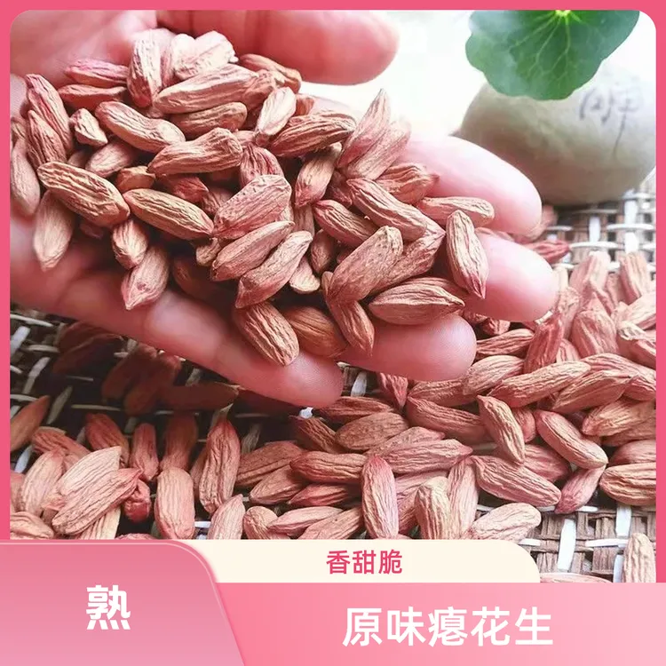 熟原味炒制山东当季新瘪花生米小粒农家甘甜零食办公喝茶零食