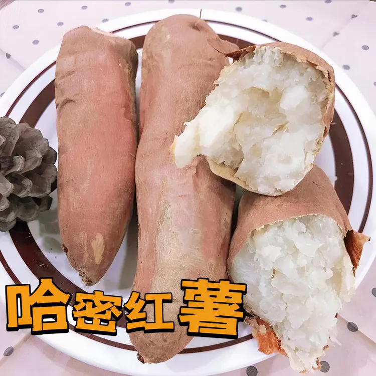 胖大发农家种植哈密冰糖心红薯沙地白心薯地瓜番薯香甜软糯无丝