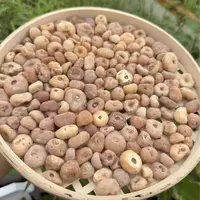 精选西藏玉皇丹  可泡水煲汤
