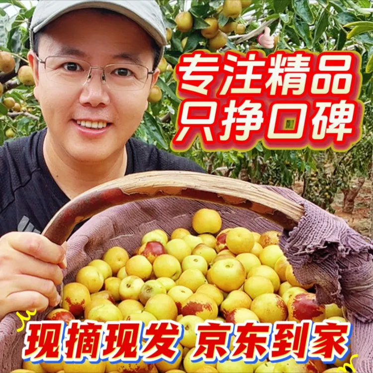 3斤装陕西大荔冰糖冬枣脆甜爽口产地直发【京东包邮】