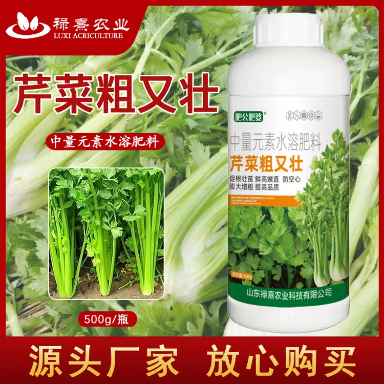芹菜粗又壮肥公肥婆芹菜拉长增粗嫩直预防空心高产多收芹菜专用肥