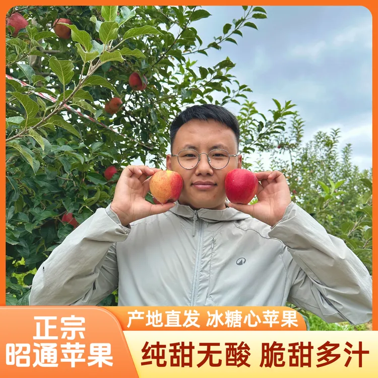 小白龙专属 正宗云南昭通糖心苹果 红富士苹果  精品果 彩箱装