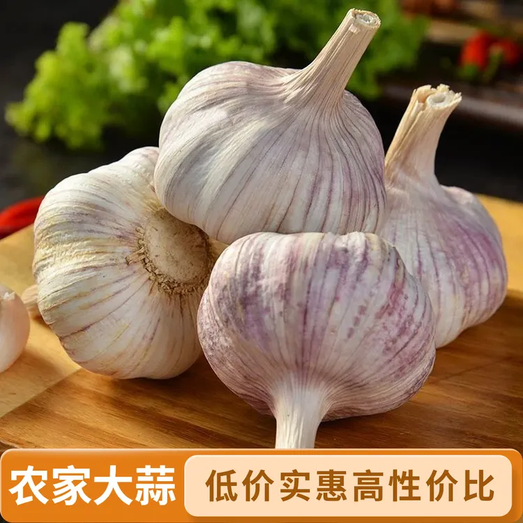 【农家土大蒜】干大蒜产地直发邳州当季干紫白皮大蒜头