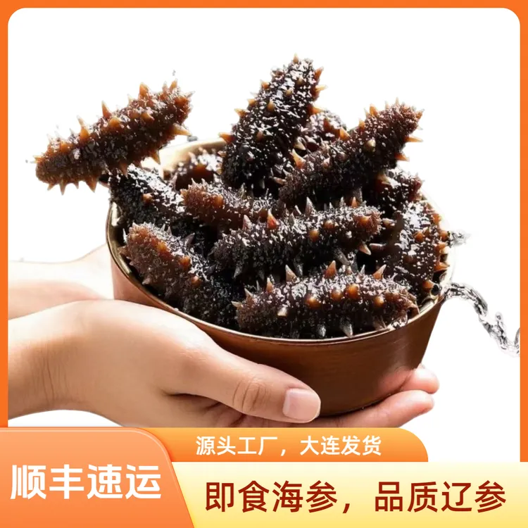 【9-10头】大连纯Q纯弹即食海参海鲜源头工厂大连发货