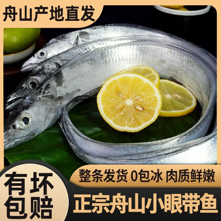 舟山东海新鲜油带鱼无冰整条2条保2.2斤