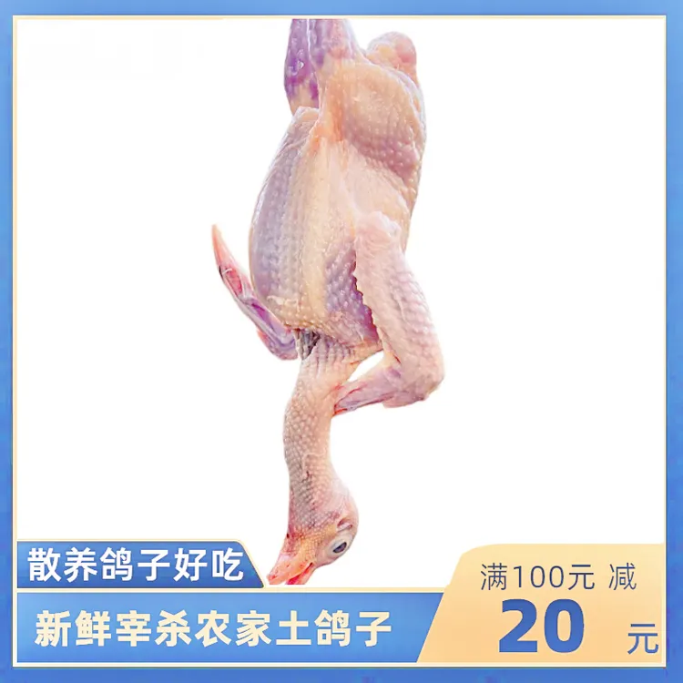 【两只】新鲜宰杀顺丰农家散养土鸽子炖汤烧烤老鸽子补营养