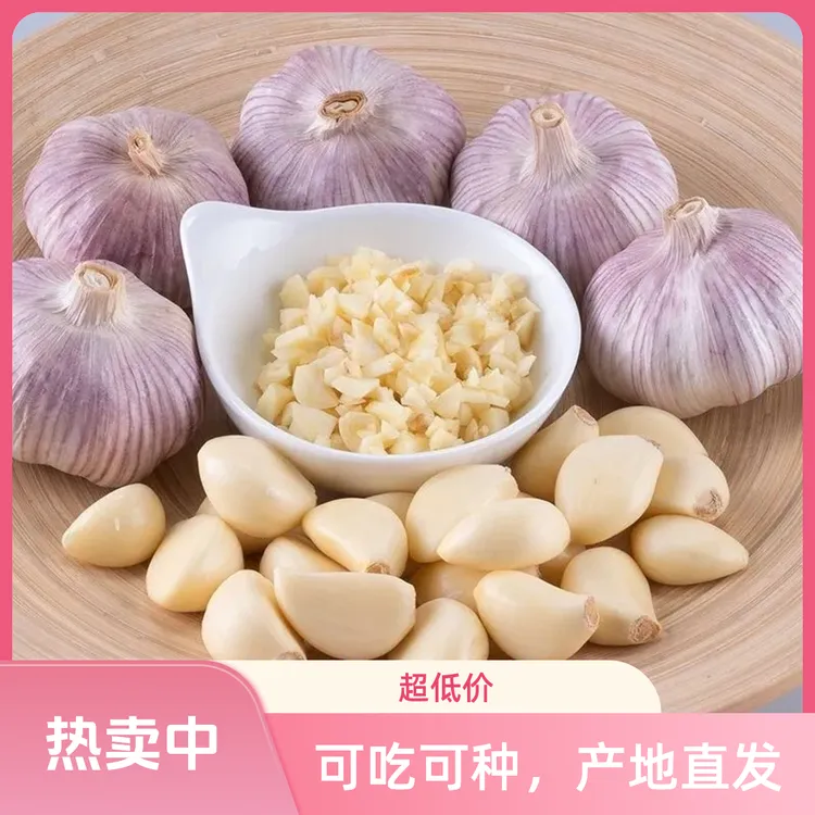 【蒜农直发】农家新干大蒜产地直发紫白皮大蒜干蒜头