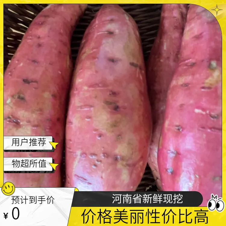 河南南阳正宗西瓜天气红蜜薯红皮红心软糯香甜蒸煮烤首选红薯新鲜