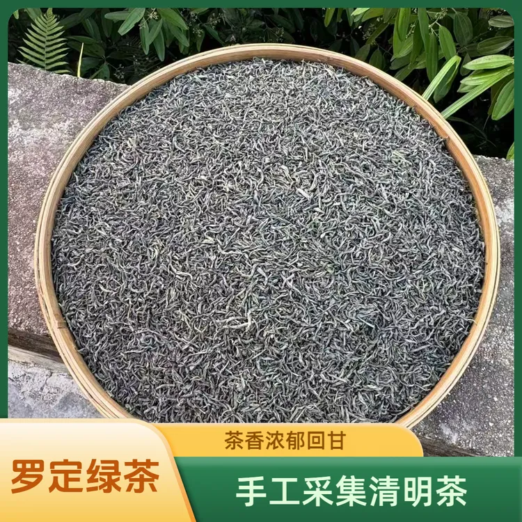 罗定绿茶新茶手工茶浓香型耐泡绿茶