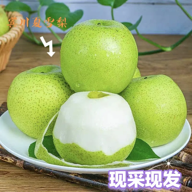 宾川现摘现发夏雪梨新鲜采摘当季青梨夏季水果
