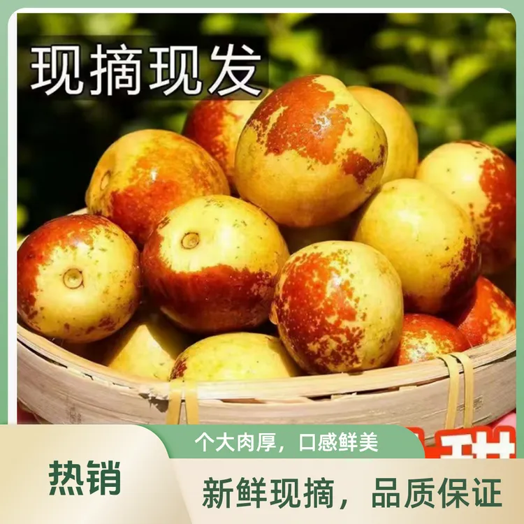 沾化冬枣颗颗精选肉质鲜嫩甘甜多汁应季新鲜水果