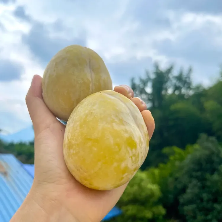 云南黄金奈李脆甜多汁新鲜水果产地直发