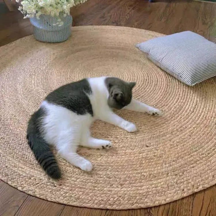 材质圆形猫抓垫抓板耐磨猫窝蹭痒器猫砂猫咪用品网红毛猫款