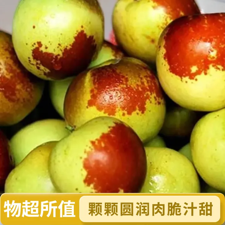 【直播间优惠】沾化冰糖冬枣现摘甘甜爽口营养丰富脆甜多汁新鲜 