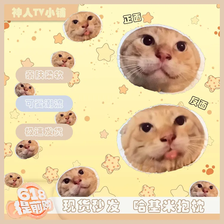圆头耄耋抱枕猫小众搞怪抽象哈基米礼物宿舍用品女生可爱周边