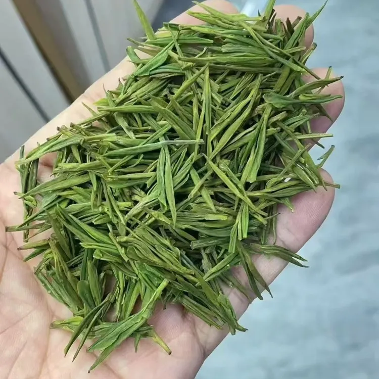 安吉最新高山白茶