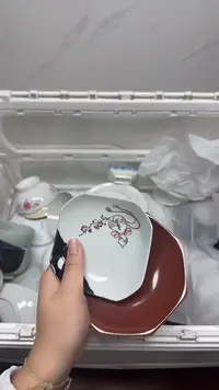 【闪购商品】536回流瓷器默认微瑕，18.8包邮