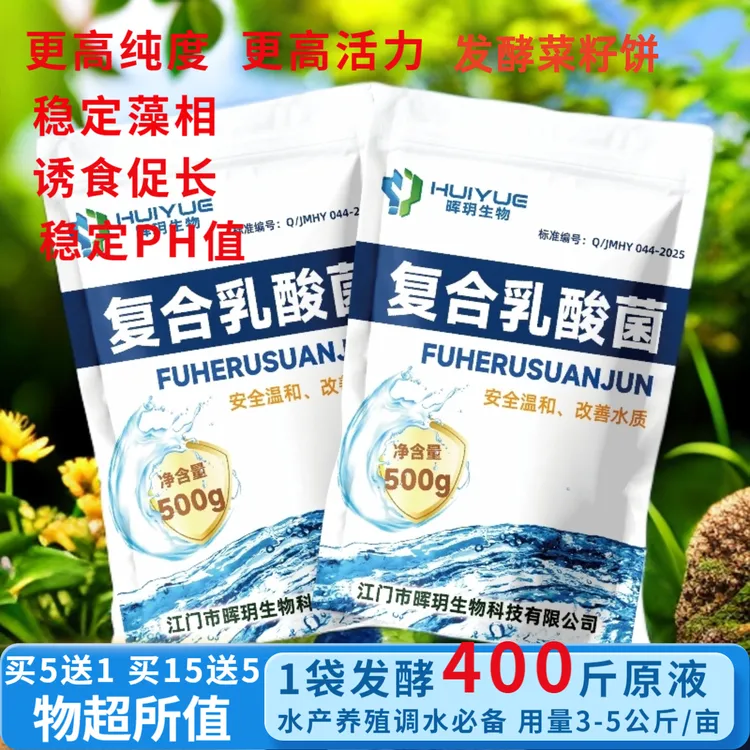 复合乳酸菌菌种发酵用于水产养殖净水调水稳定PH抑制水浓水绿蓝藻