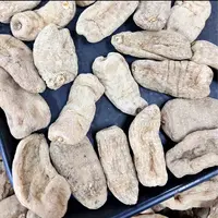 昭通小草坝天麻 【袁瑞泽推荐】=