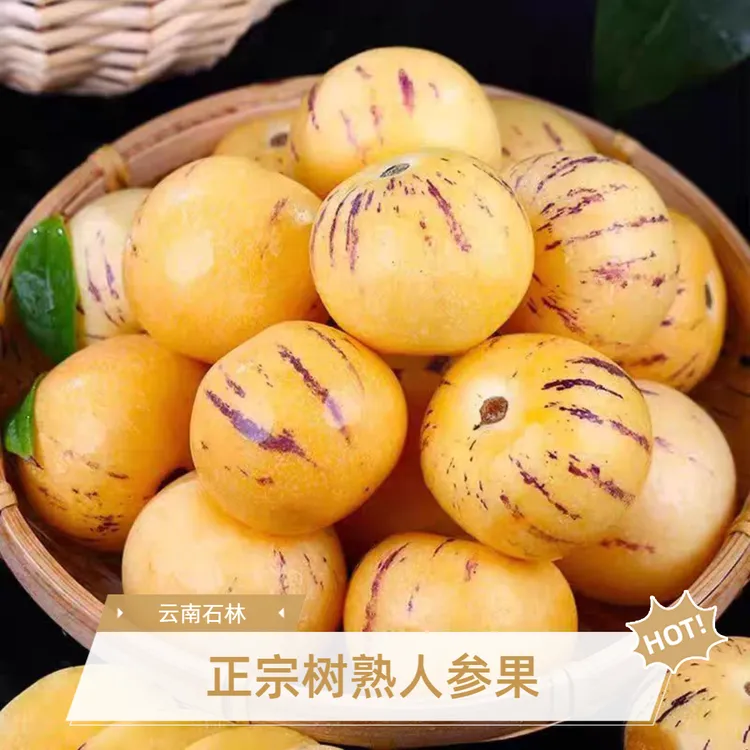 云南【真树熟】正宗人参果黄肉圆果新鲜水果清甜爆汁商品图