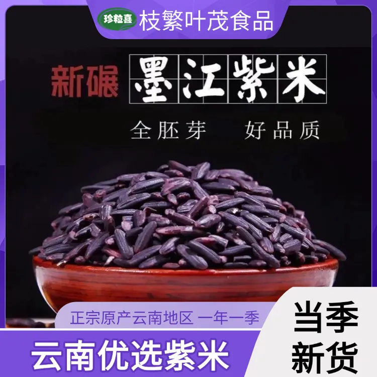 云南优质墨江紫米新米农家紫色糯米正宗染色非血黑米特产饭团杂粮