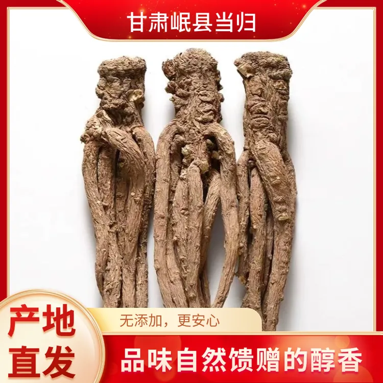 原产地《岷归》当归滋补养生可煲汤炖肉泡酒无硫无黄芪产地直销甘肃
