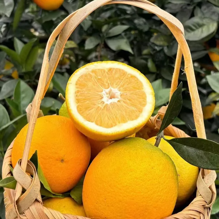 10斤精品果王橙，大大果，果肉饱满汁水足，当季水果孕妇鲜橙直发