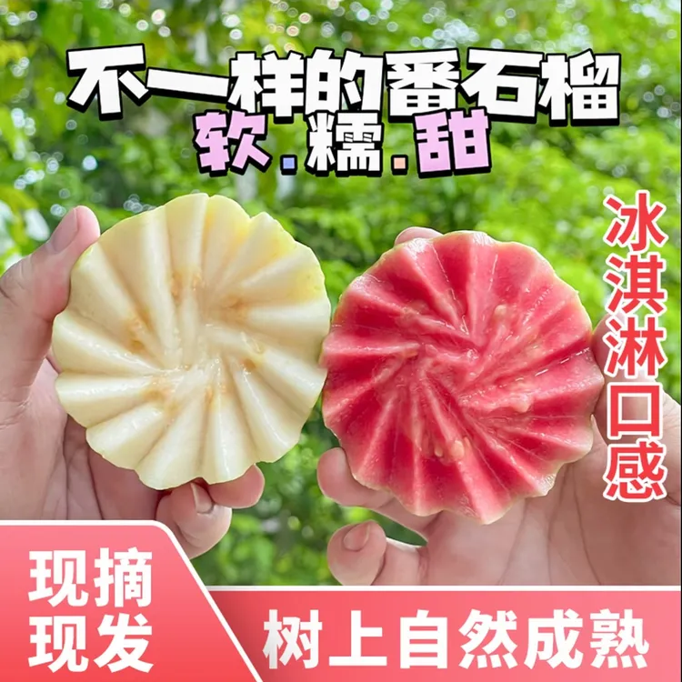 【京东包邮】红心白心软芭乐冰淇淋番石榴新鲜当季水果软糯香甜