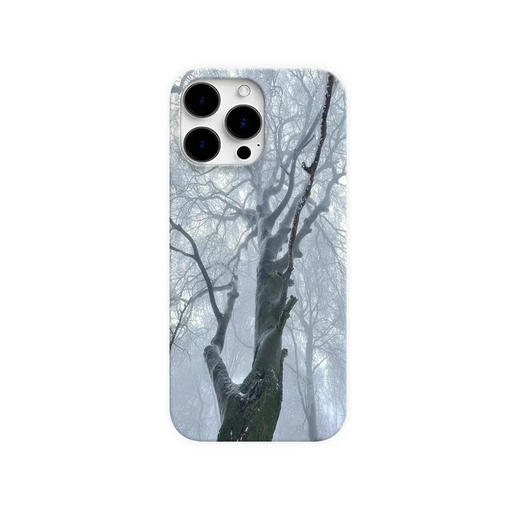 森林雾水适用iPhone16promax手机壳15pro创意14pro高级13/12/11/x