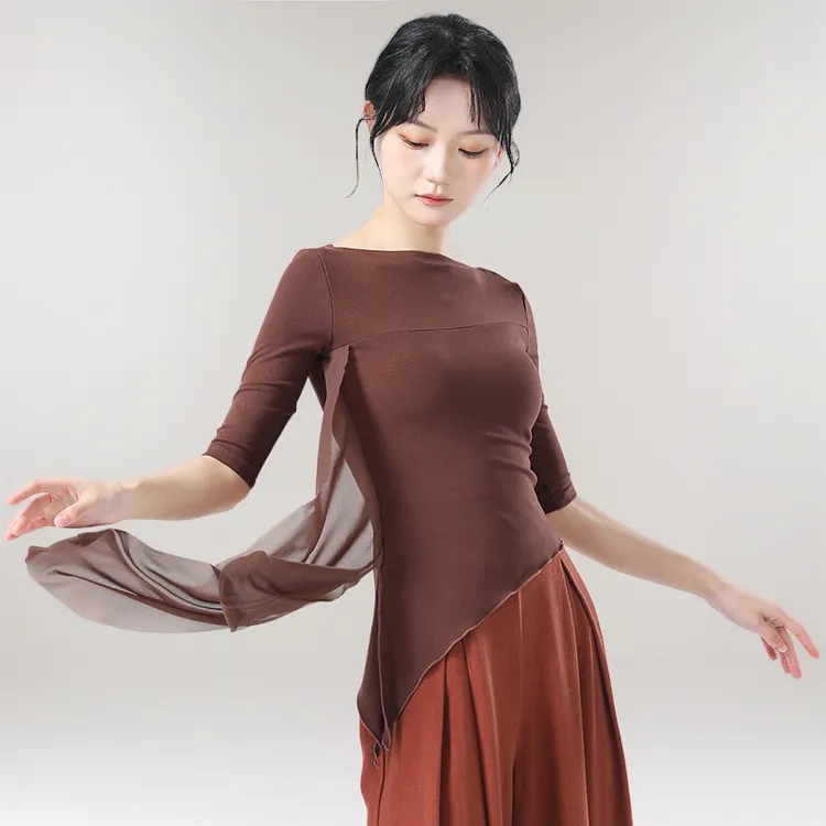 古典舞蹈服上衣女春夏新款中国风现代演出成人飘纱衣身韵形体显瘦