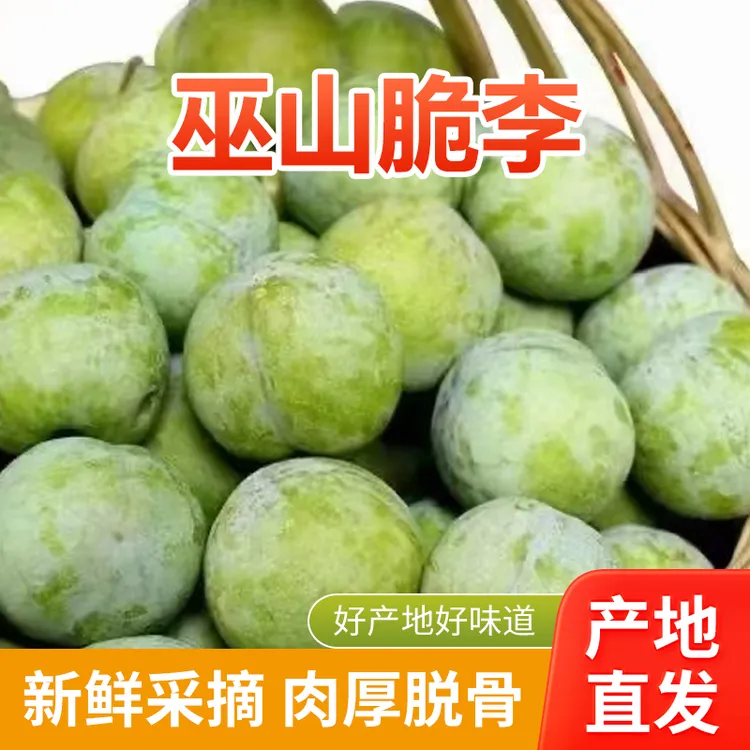 正宗重庆巫山脆李新鲜空心青脆当季水果，现摘现发
