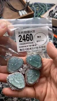 【闪购商品】翡翠颈饰未镶嵌多样性发其一2460