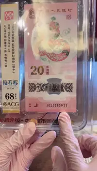 塑料2025蛇钞爱藏新标十啊啊啊啊