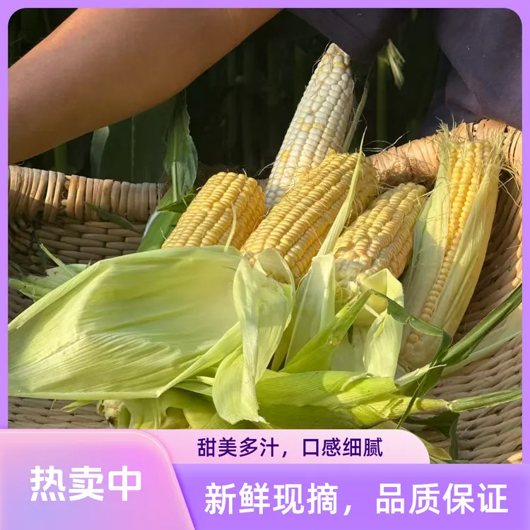 新鲜水果玉米鲜嫩可口