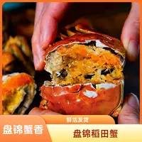 【活蟹】盘锦稻田蟹 顺丰发货1.3-1.1两 2斤17-20只 包活保肥母蟹 L