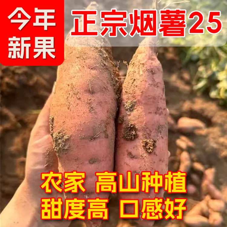 软糯香甜烟薯25号山东新鲜现挖蜜薯糖心番薯流心蜜薯农家自种地瓜