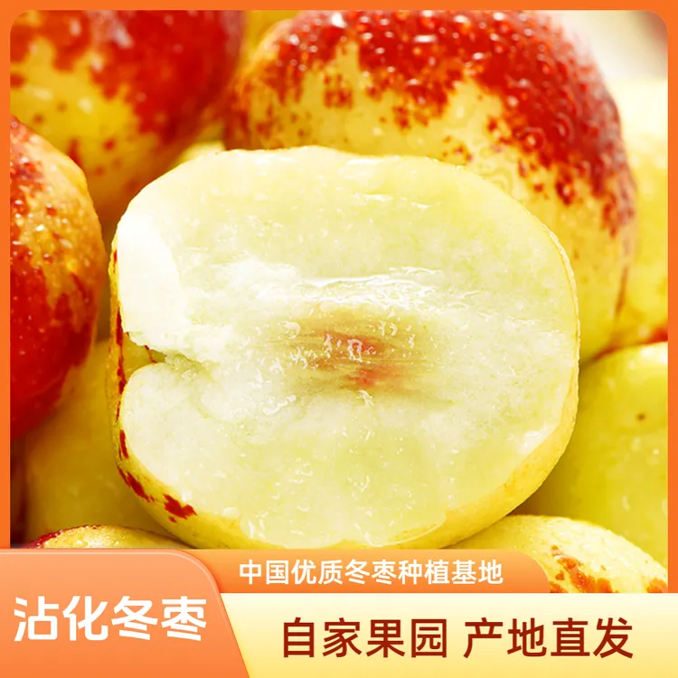 沾化冬枣 新鲜现摘 脆甜多汁 应季水果