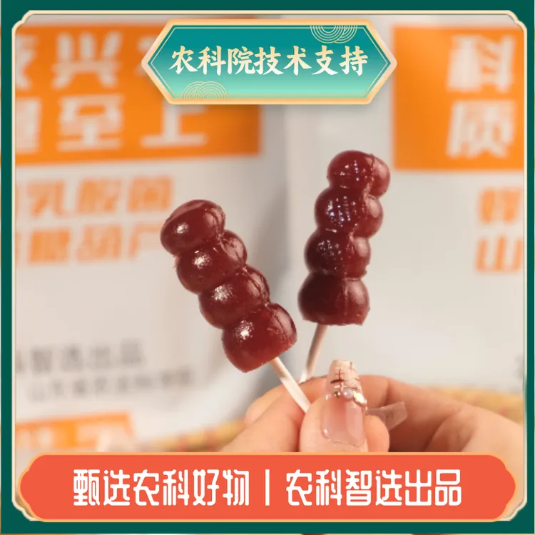 【农科院出品】蜂蜜乳酸菌山楂糖葫芦酸甜软糯