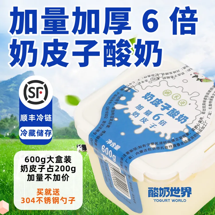 酸奶世界6倍爆款奶皮子酸奶600g装官方正品内蒙古特产非干噎酸奶！