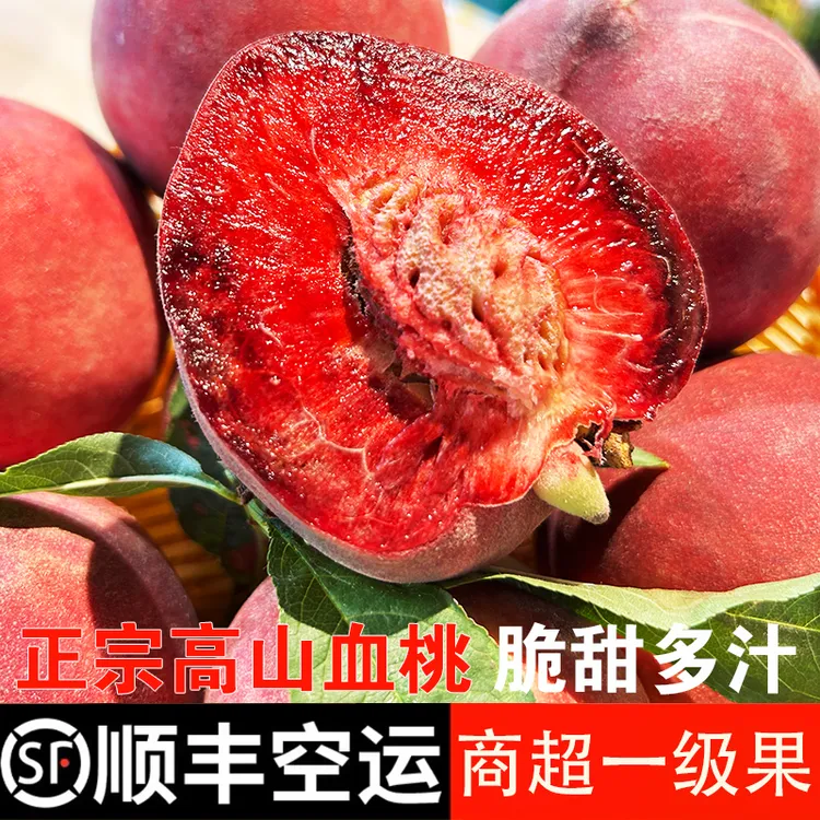 正宗湖北老树大个胭脂红血桃坏果包赔商场一级果顺丰包邮当季水果