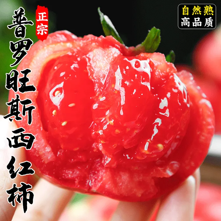 陕西普罗旺斯水果西红柿皮薄酸甜汁水多自然成熟口感沙瓤西红柿A