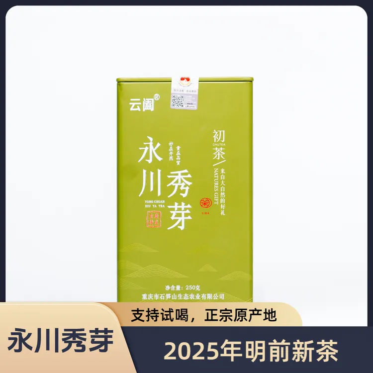 永川秀芽2025年新茶春茶250g明前手工绿茶罐装高山明前特级茶叶