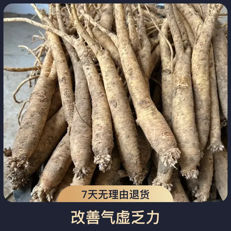 贵州威宁产地直销新鲜黄党参大条（煲汤泡酒优选）