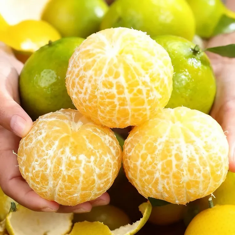 正宗广西武鸣皇帝柑贡柑新鲜应季水果柑橘桔子清甜多汁产地直发