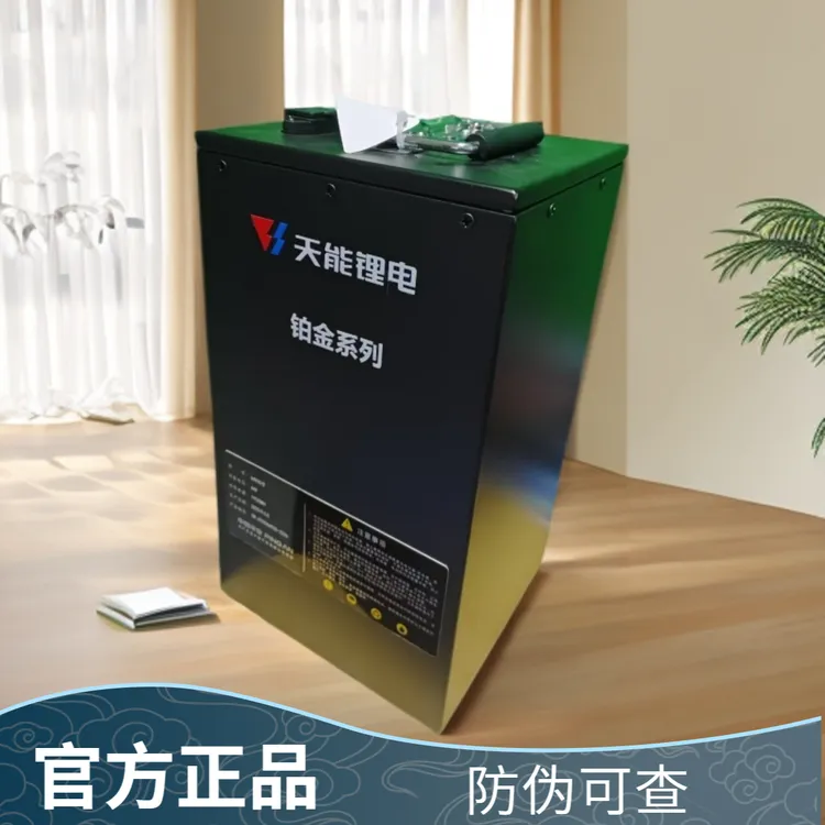 天能锂电池60V电动车外卖专用大容量长续航官方正品防伪可查