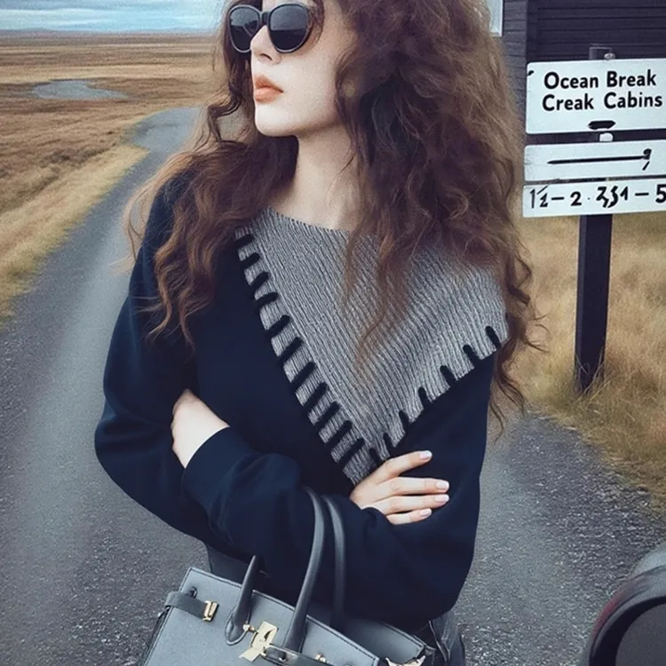 秋冬慵懒风假两件撞色拼接卫衣女高级设计感小众百搭休闲长袖上衣