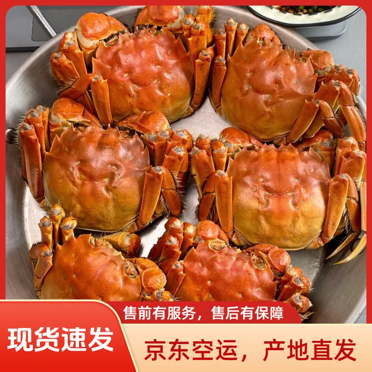 【活蟹】盘锦河蟹，全公蟹皇10只装，每只1.7-2两，只只足两，件件足斤!