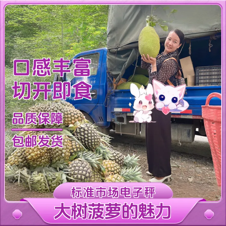 西双版纳大树菠萝香甜好吃新鲜称重包邮发货收到软后切开坏果包赔